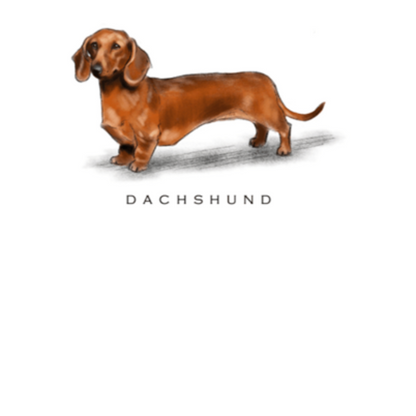 Fable &amp; Sage Note Card Sets - 24 Breeds