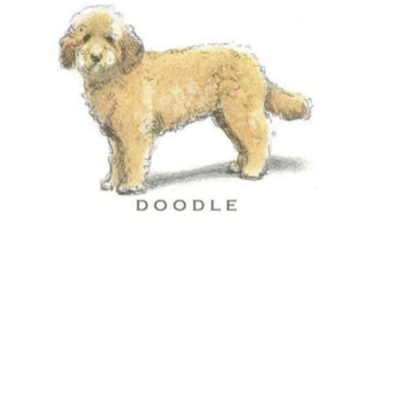 Fable &amp; Sage Note Card Sets - 24 Breeds