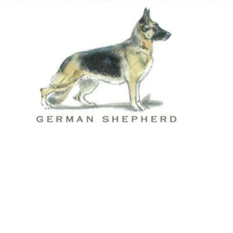 Fable &amp; Sage Note Card Sets - 24 Breeds