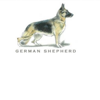 Fable &amp; Sage Note Card Sets - 24 Breeds