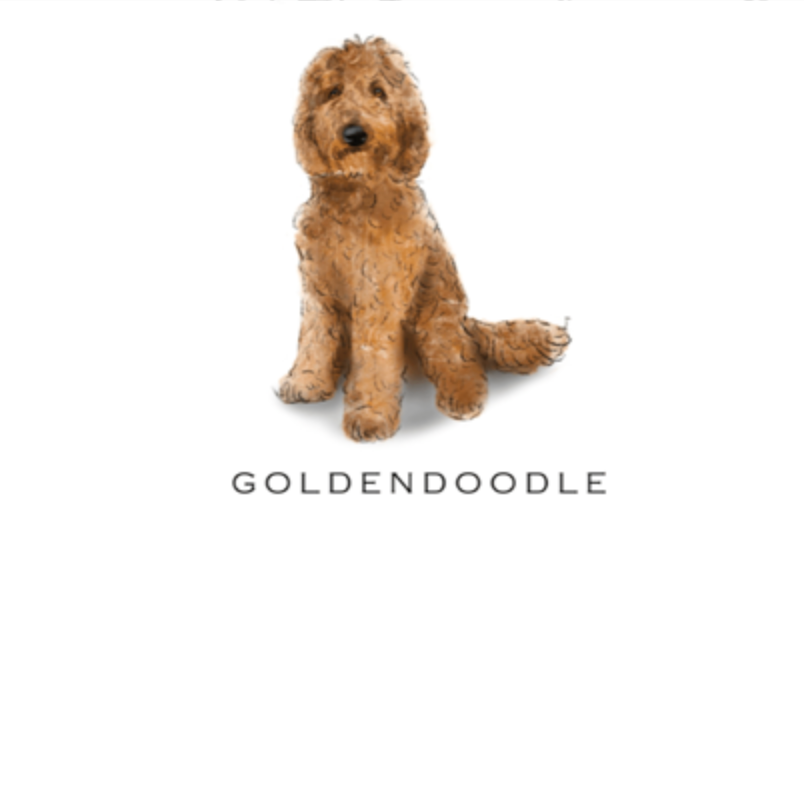 Fable &amp; Sage Note Card Sets - 24 Breeds