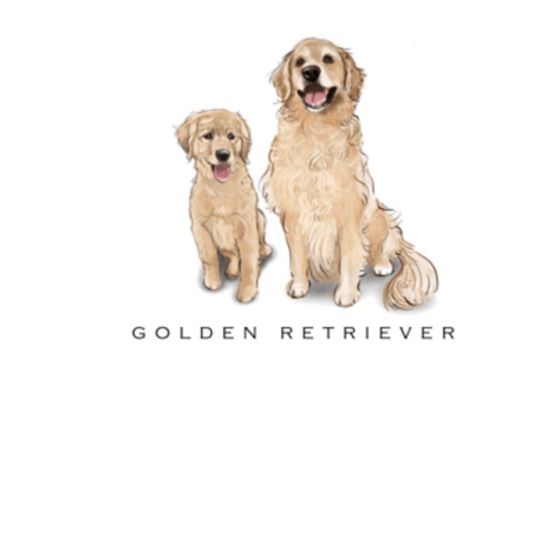 Fable &amp; Sage Note Card Sets - 24 Breeds