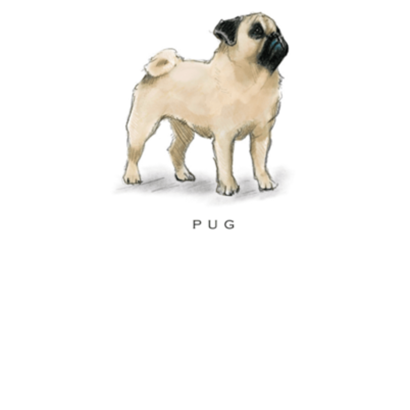 Fable &amp; Sage Note Card Sets - 24 Breeds
