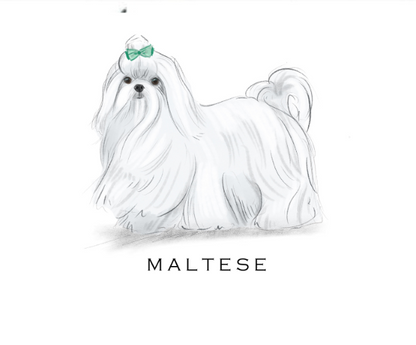 Fable &amp; Sage Note Card Sets - 24 Breeds