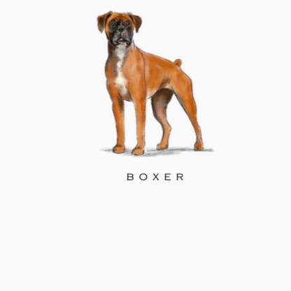 Fable &amp; Sage Note Card Sets - 24 Breeds