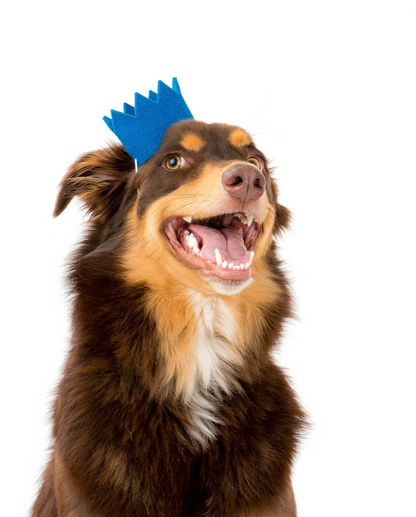 Party Crown