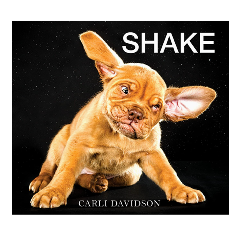 Shake: by Carli Davidson