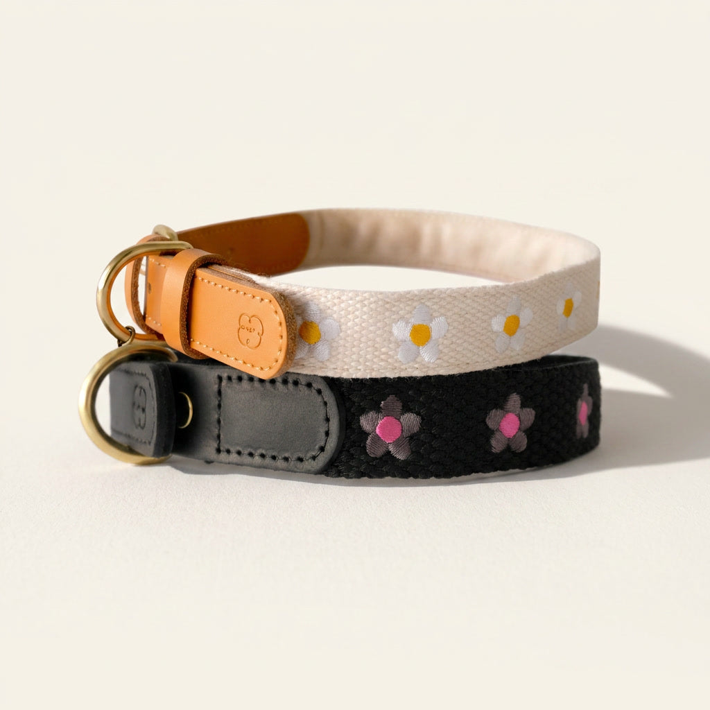 Daisy Leather Dog Collar