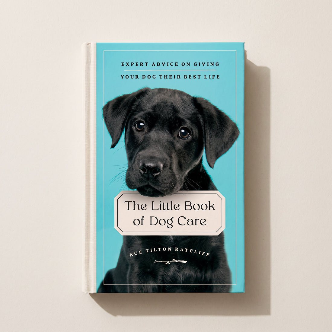 Little Book of Dog Care