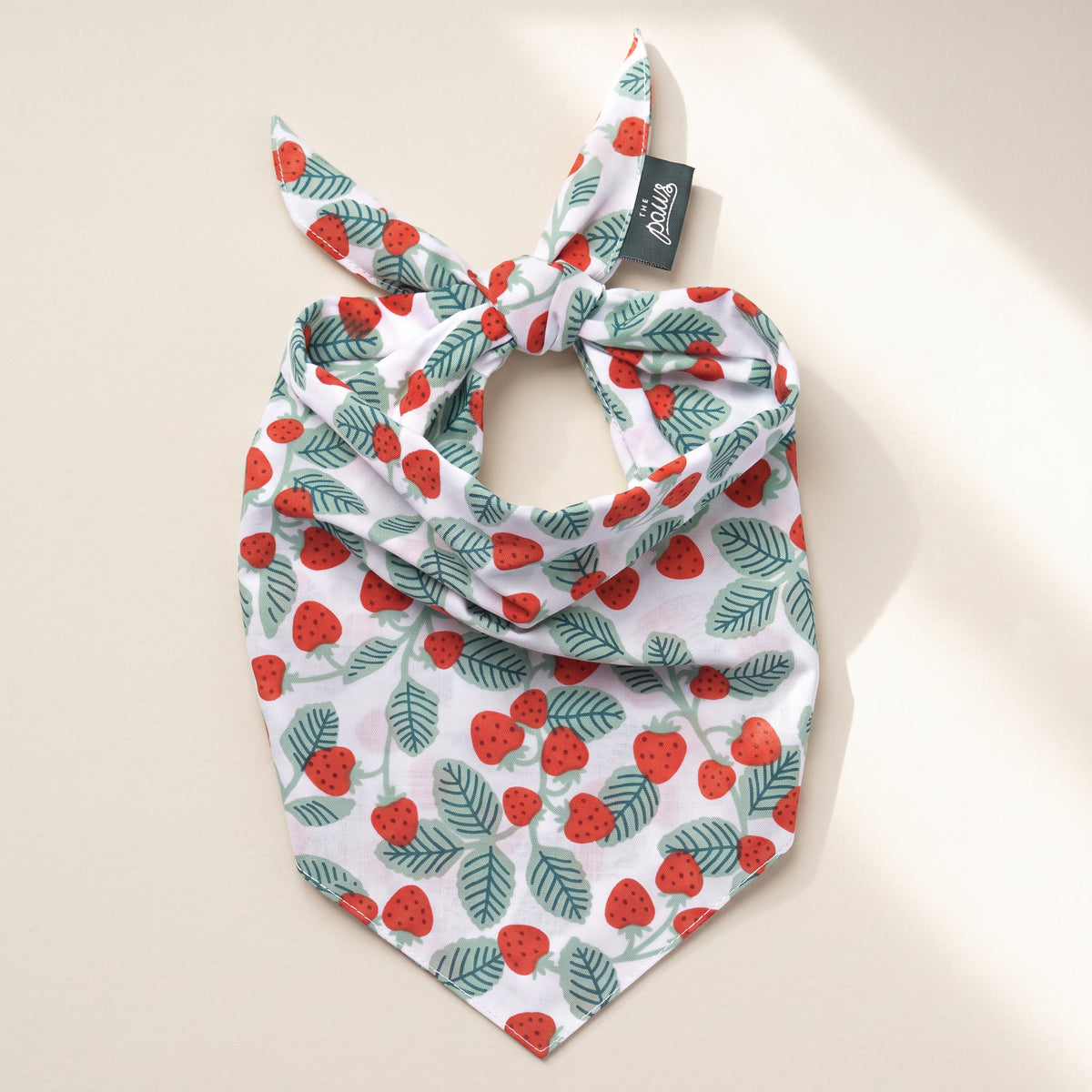 Henley Wild Berry Bandana