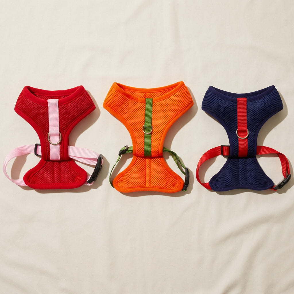 Color Block Padded Harness