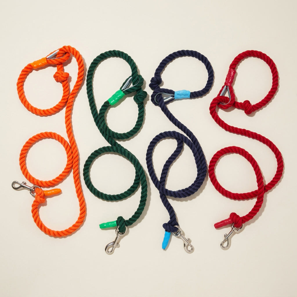 Nautical Knot Leash