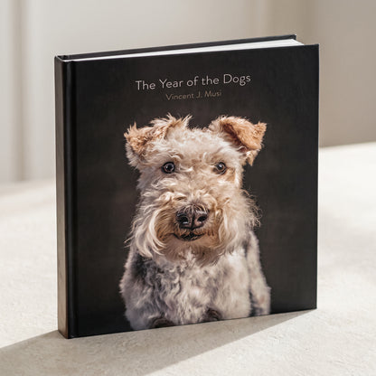 Year of the Dogs