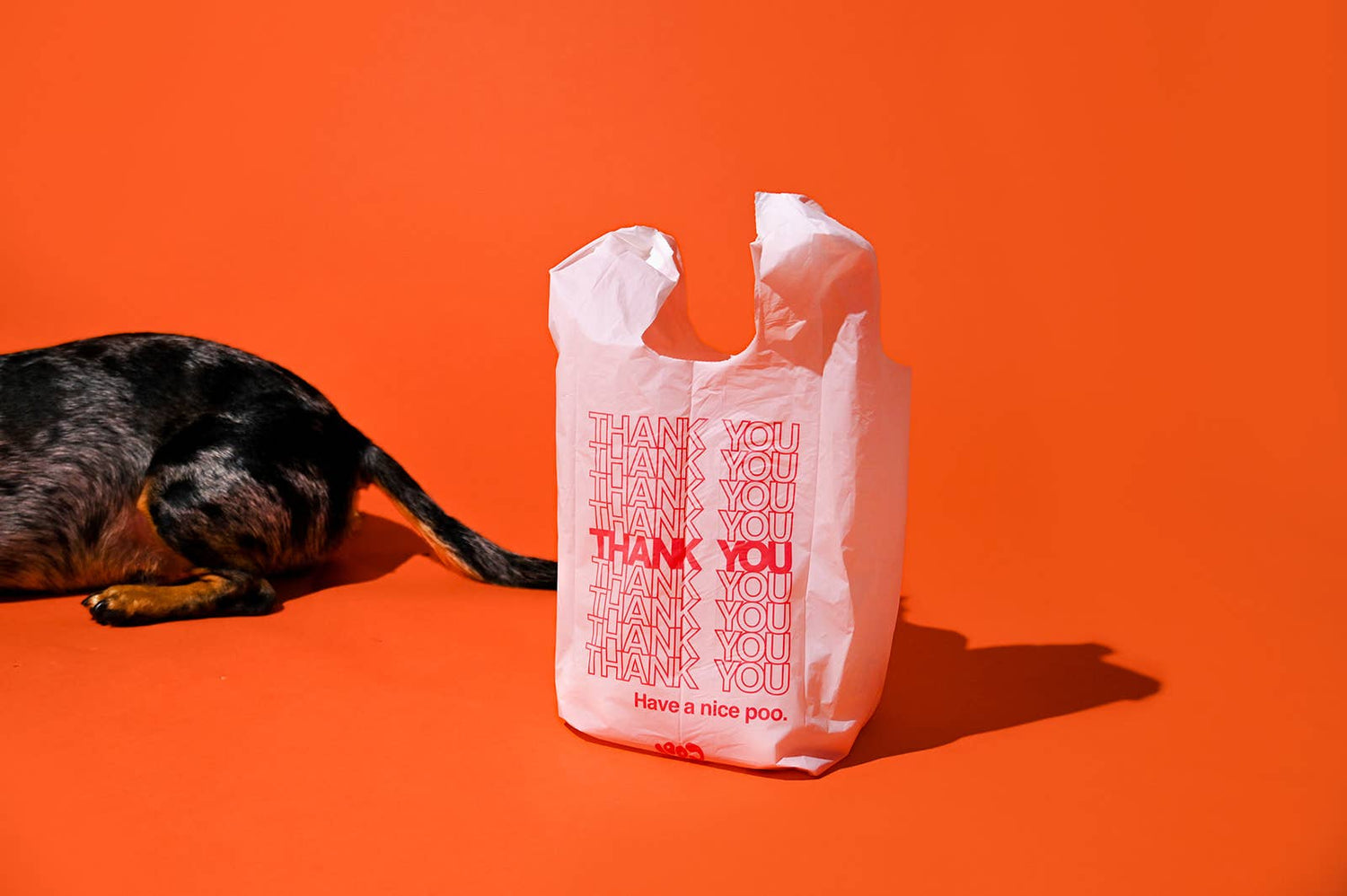 The Thank You Poop Bag
