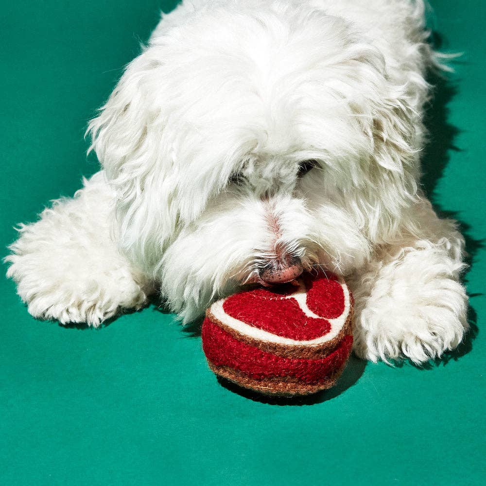 Felted Wool Steak Dog Toy