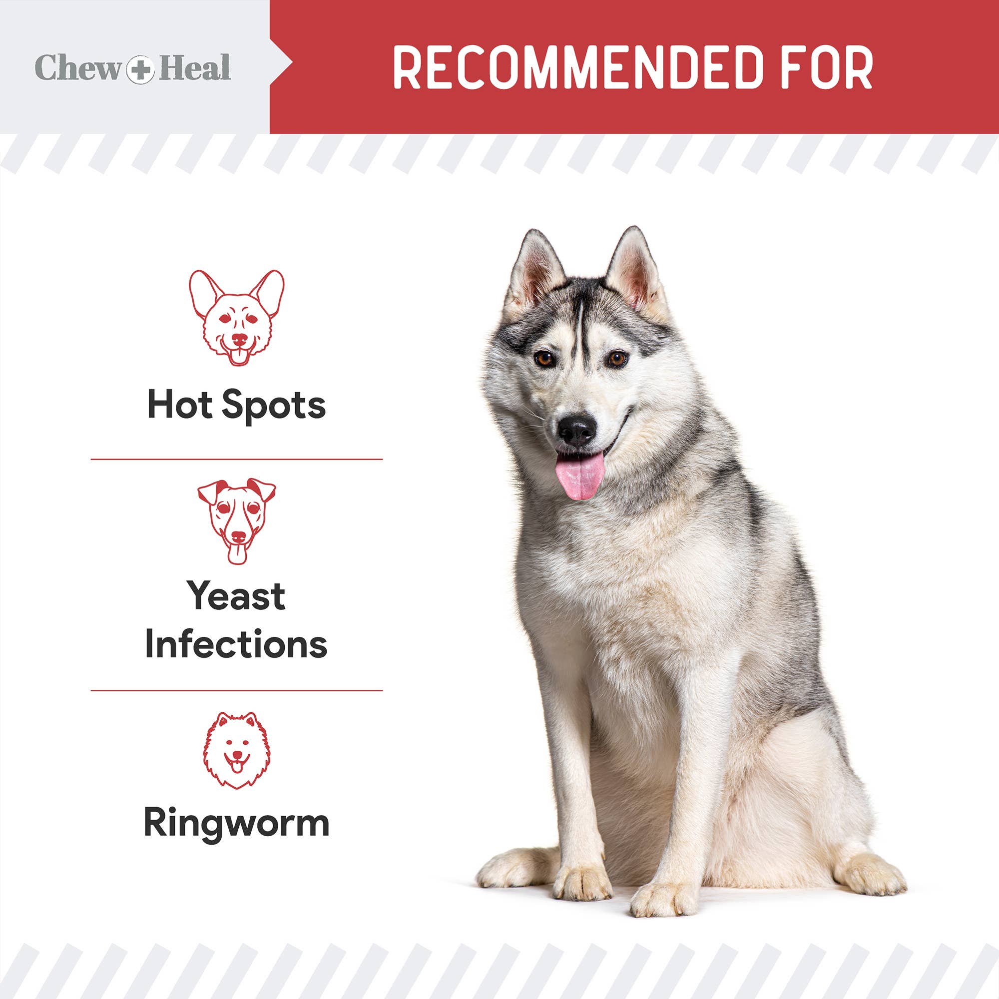 Antibacterial &amp; Antifungal Medicated Wet Wipes for Dogs