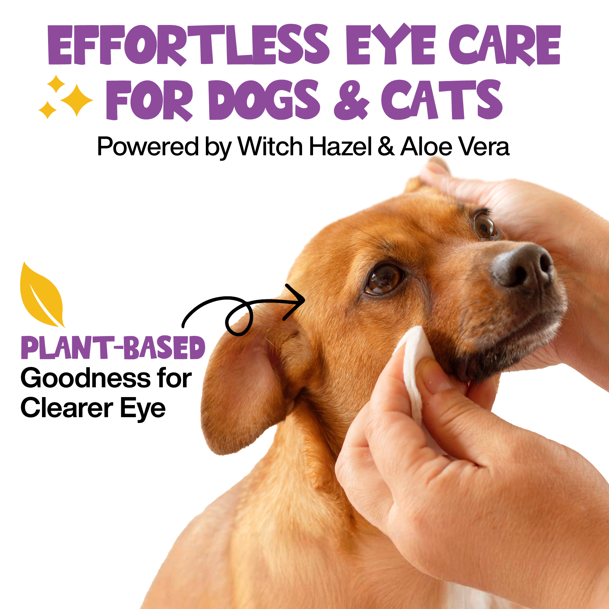 Roofus Dog Eye Wipes | Fragrance Free | 100ct