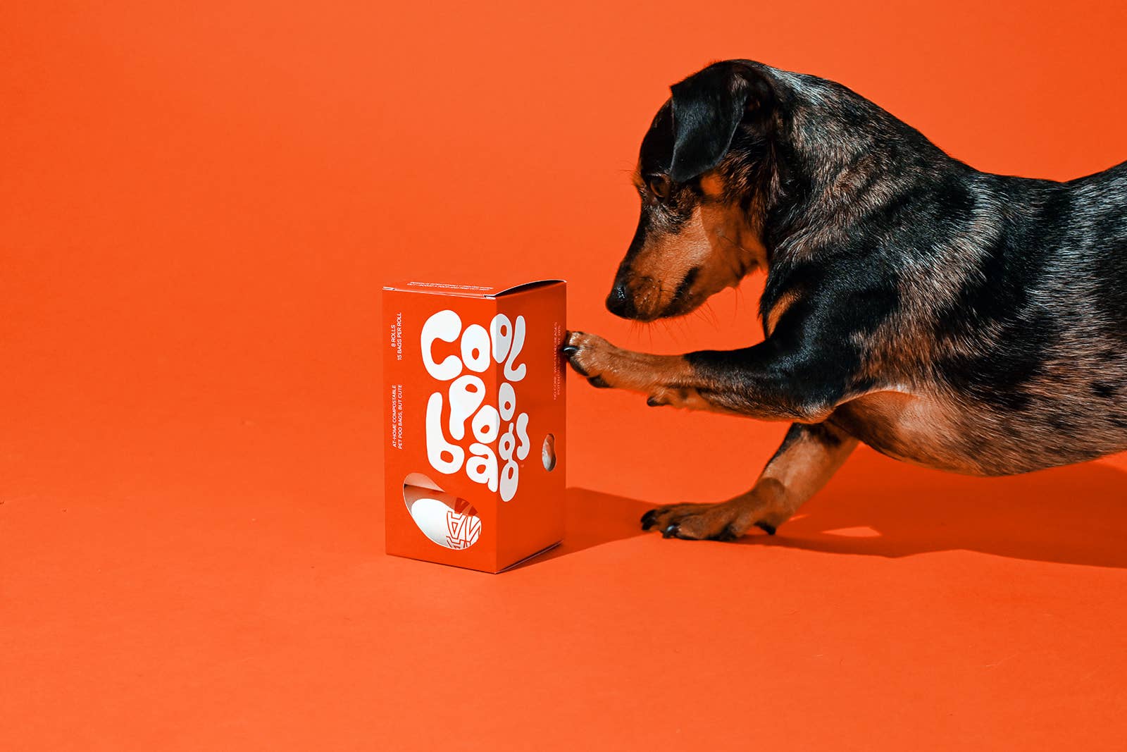 The Thank You Poop Bag