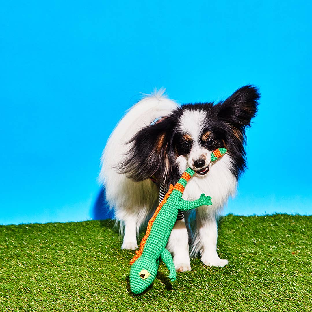 Hand Crochet Cotton Lizard Dog Toy