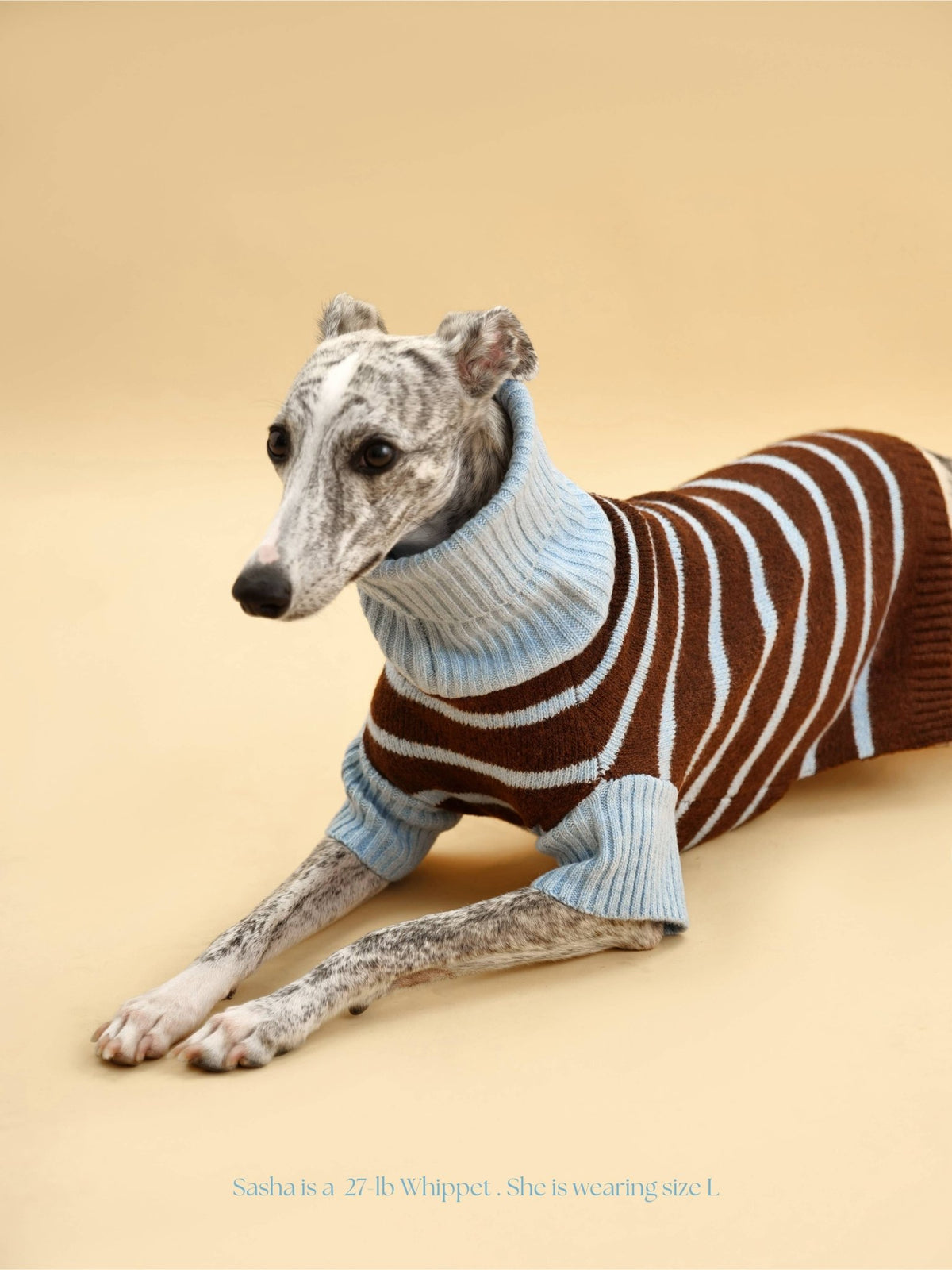 Bluebell Stripes Sweater - THE BOXER