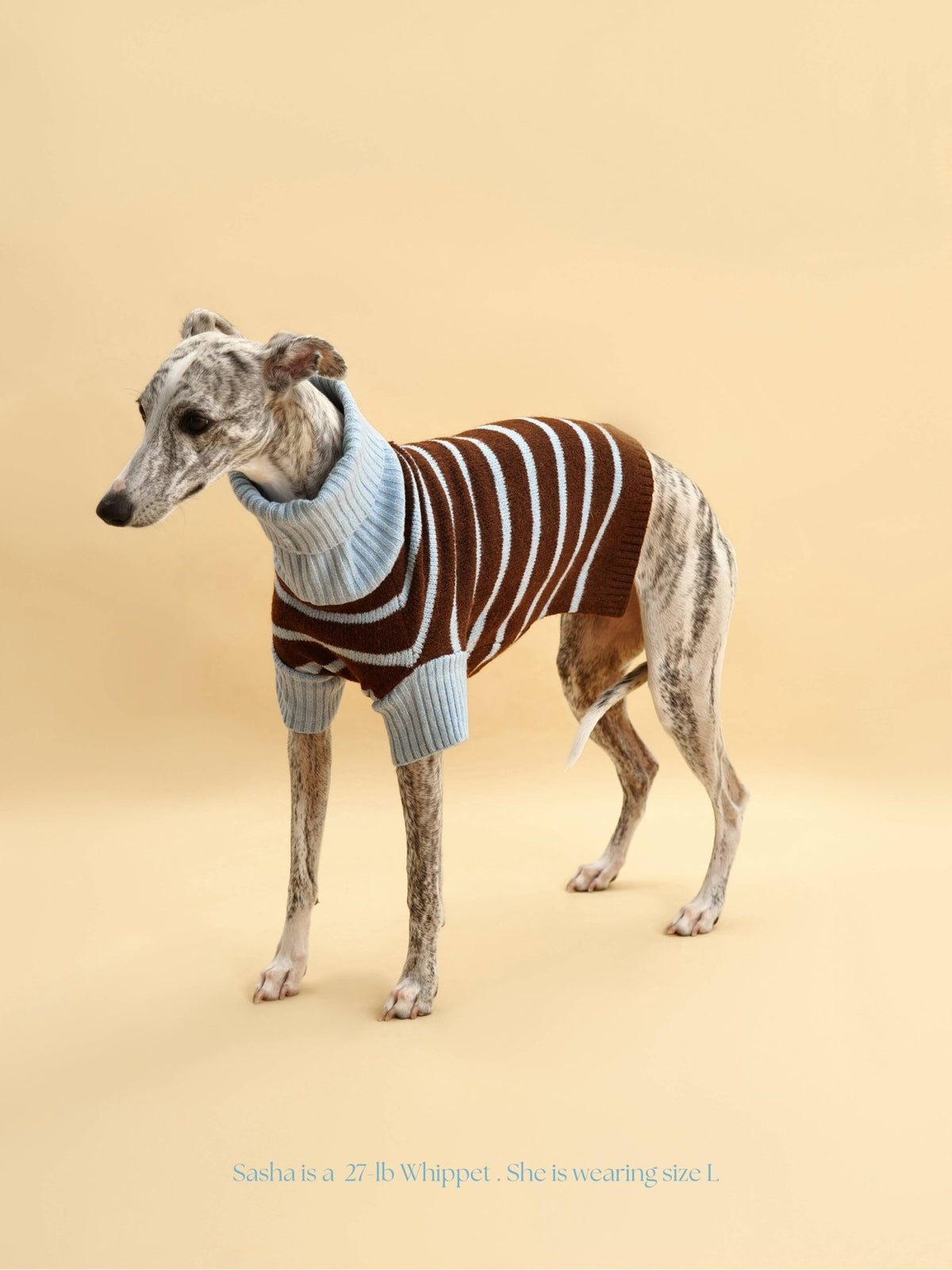 Bluebell Stripes Sweater - THE BOXER