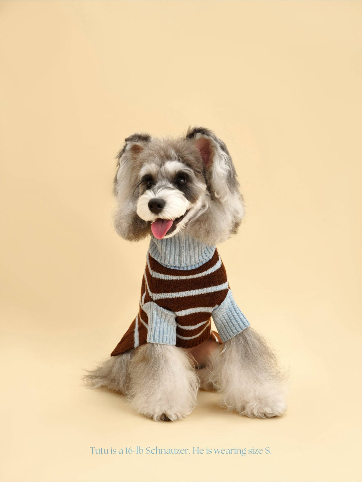 Bluebell Stripes Sweater - THE BOXER
