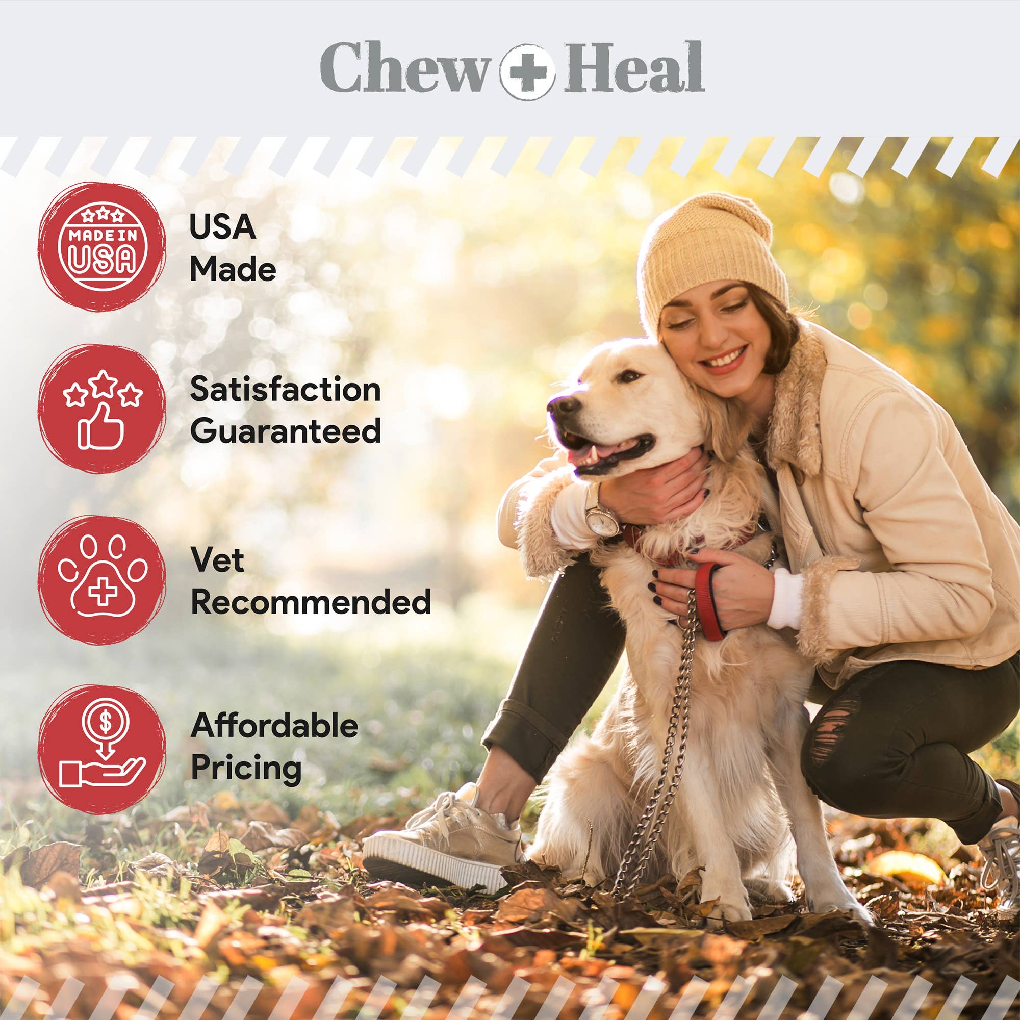 Antibacterial &amp; Antifungal Medicated Wet Wipes for Dogs