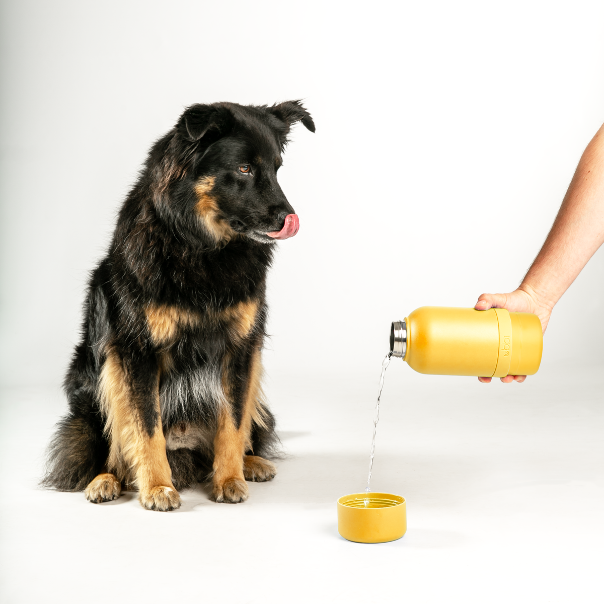 Yellow Pup + Me Water Bottle