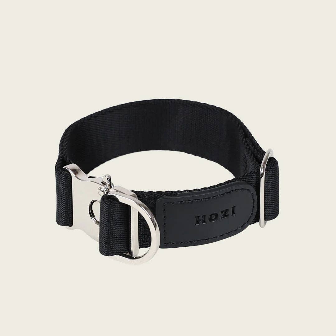 Buckle Strap Collar