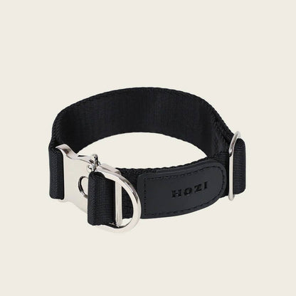 Buckle Strap Collar