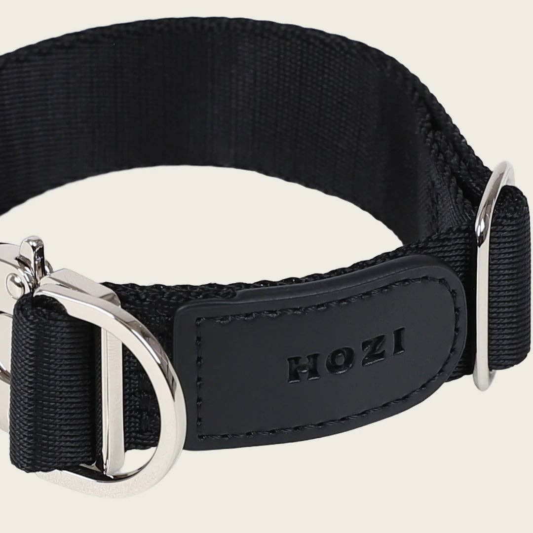 Buckle Strap Collar