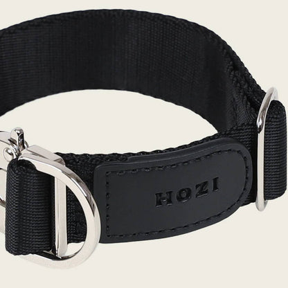 Buckle Strap Collar