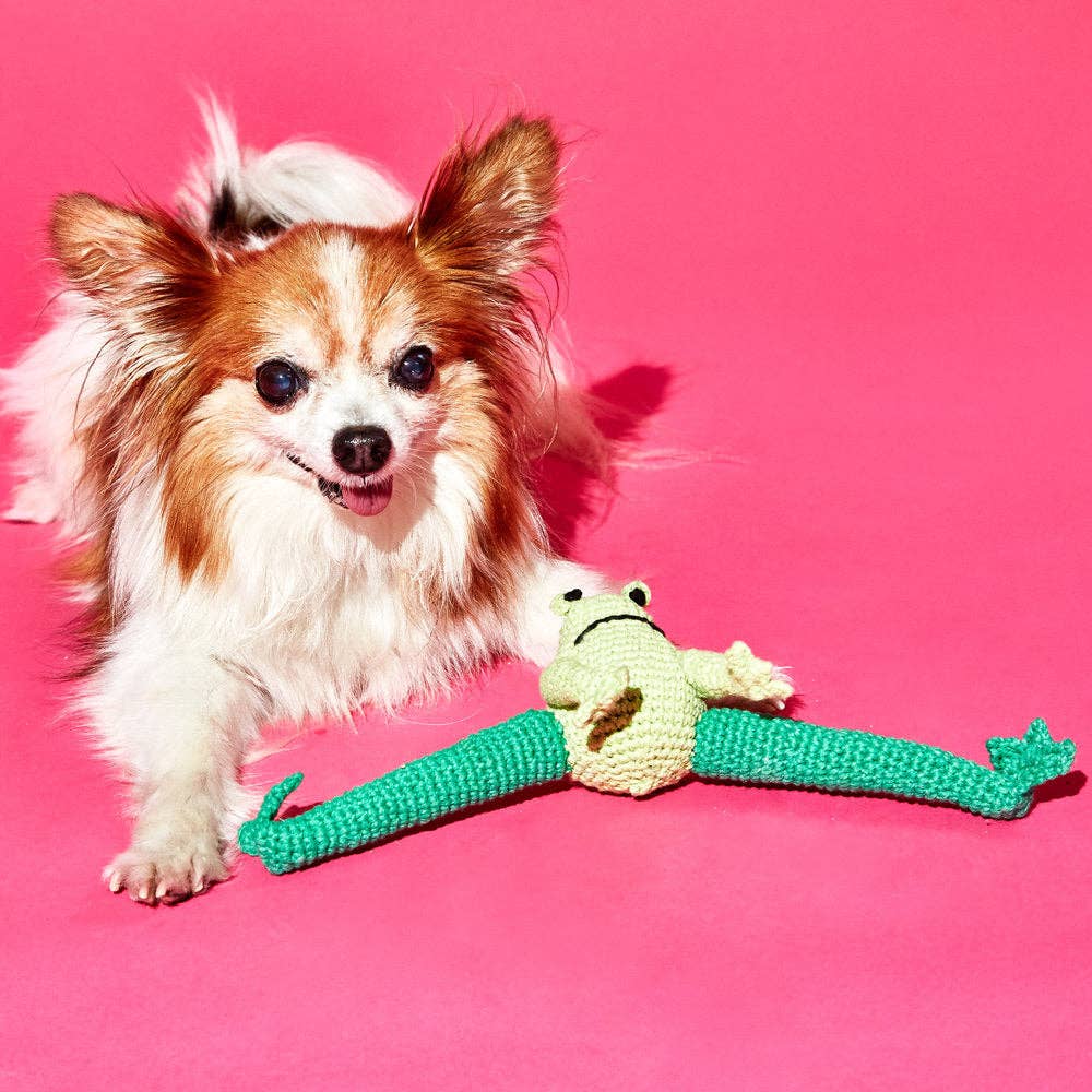 Hand Crochet Cotton Frog Dog Toy