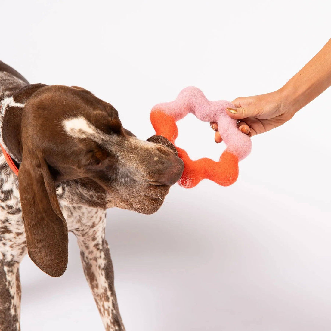 Wiggle Ring Felt Wool Toy
