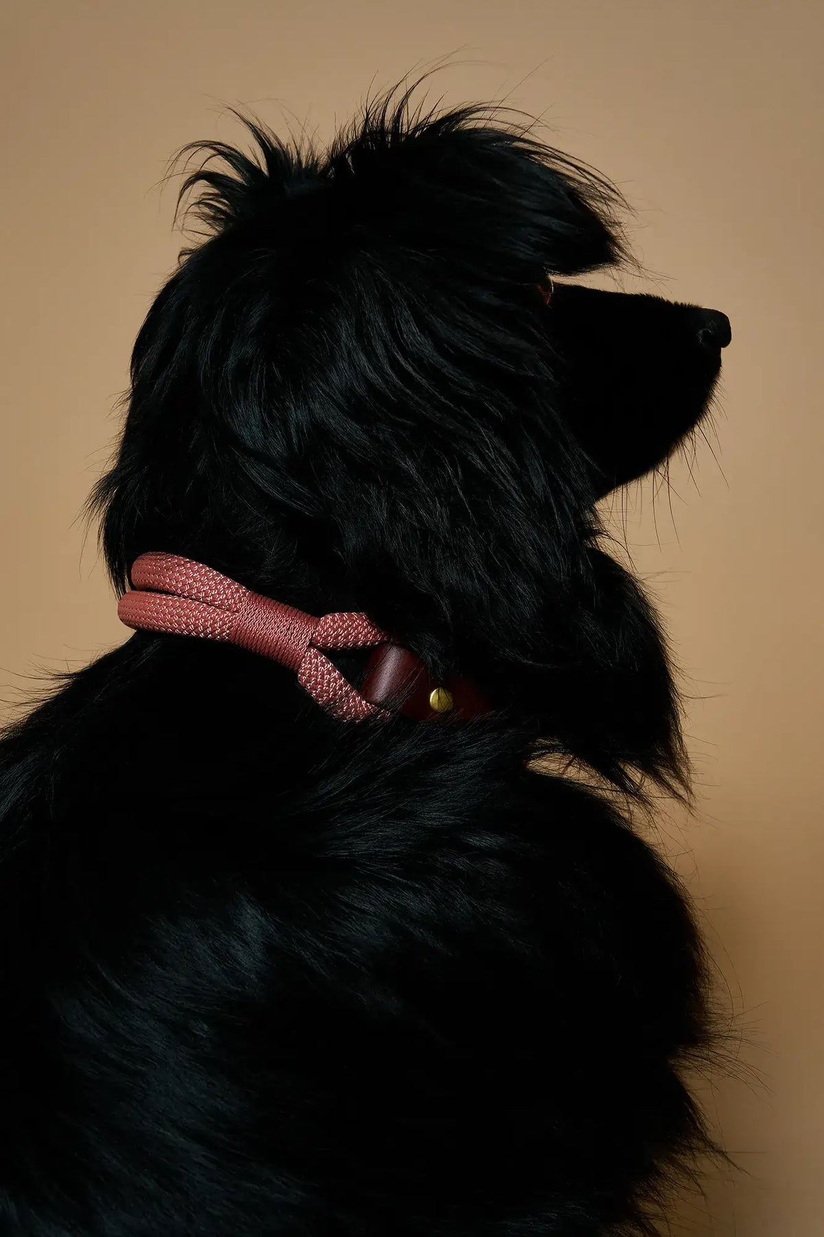 Atelier Markiz Necklace Collar