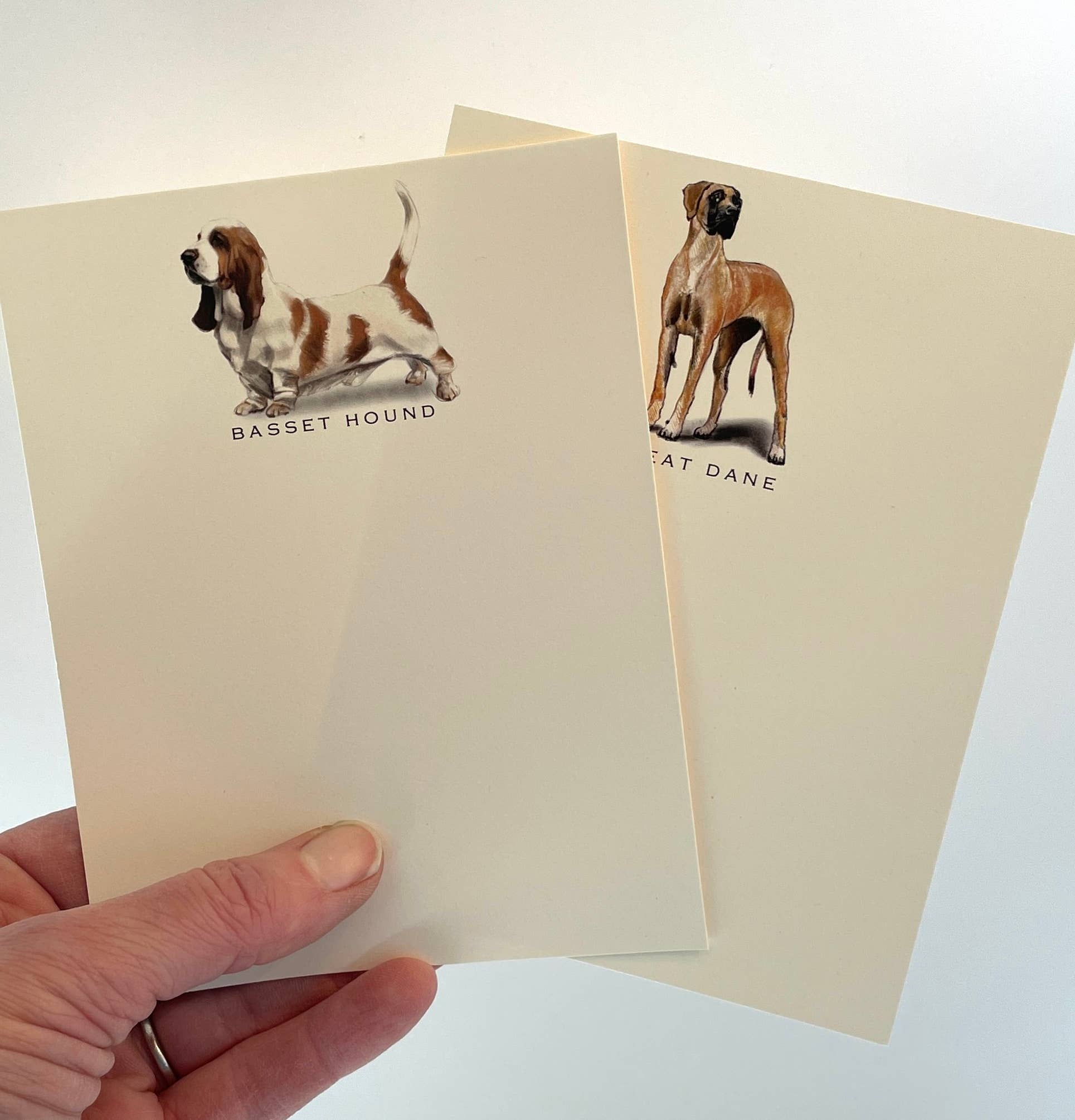 Dog Note Cards | Golden Retriever | Set of 6 - THE BOXER