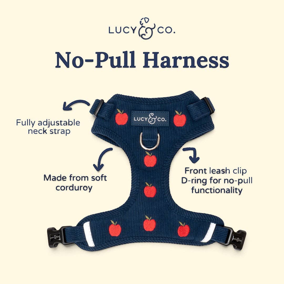Appley Ever After Corduroy No-Pull Harness