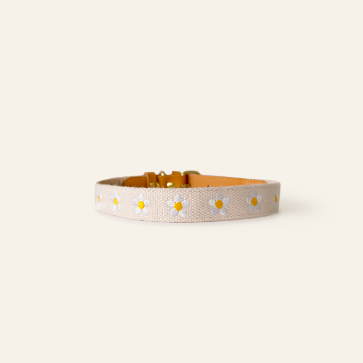 Daisy Leather Dog Collar