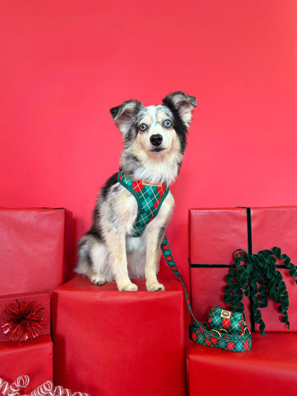 Evergreen Argyle Dog Harness