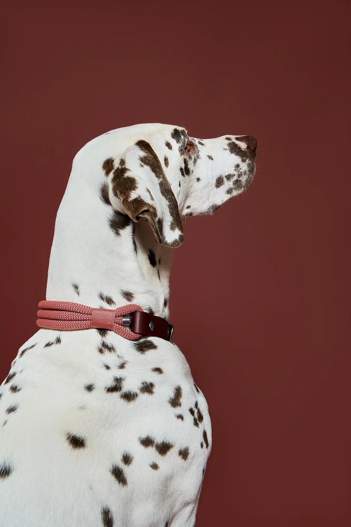 Atelier Markiz Necklace Collar