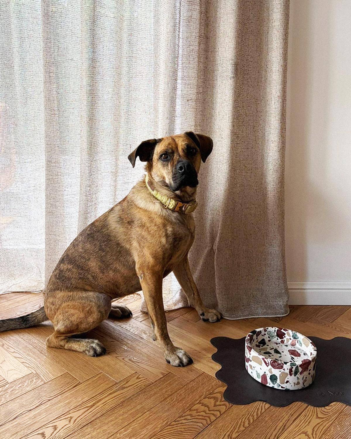Terrazzo Marble Stone Dog Bowl