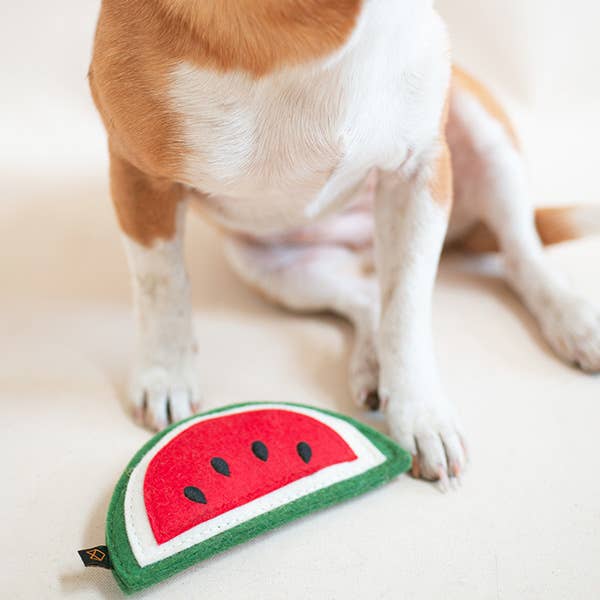 Watermelon Squeaker Dog Toy
