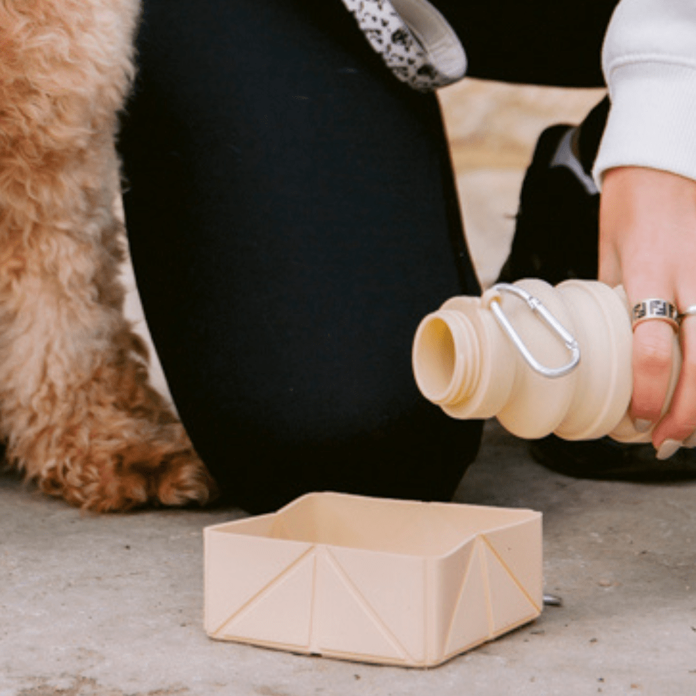Foldable Travel Bowl - Beige - THE BOXER