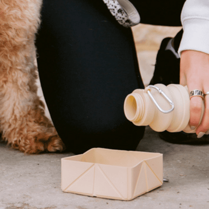 Foldable Travel Bowl - Beige - THE BOXER