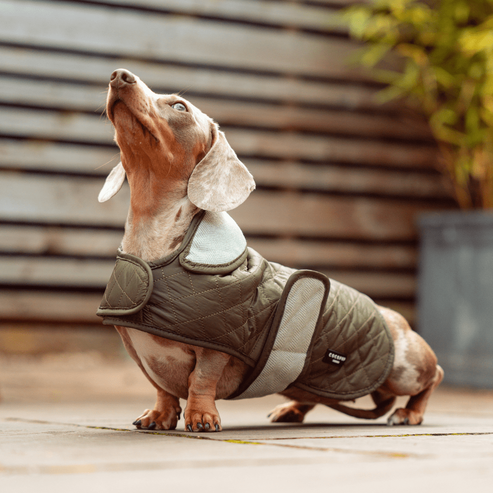 LUXE Quilted Dog Coat - Country Khaki - THE BOXER