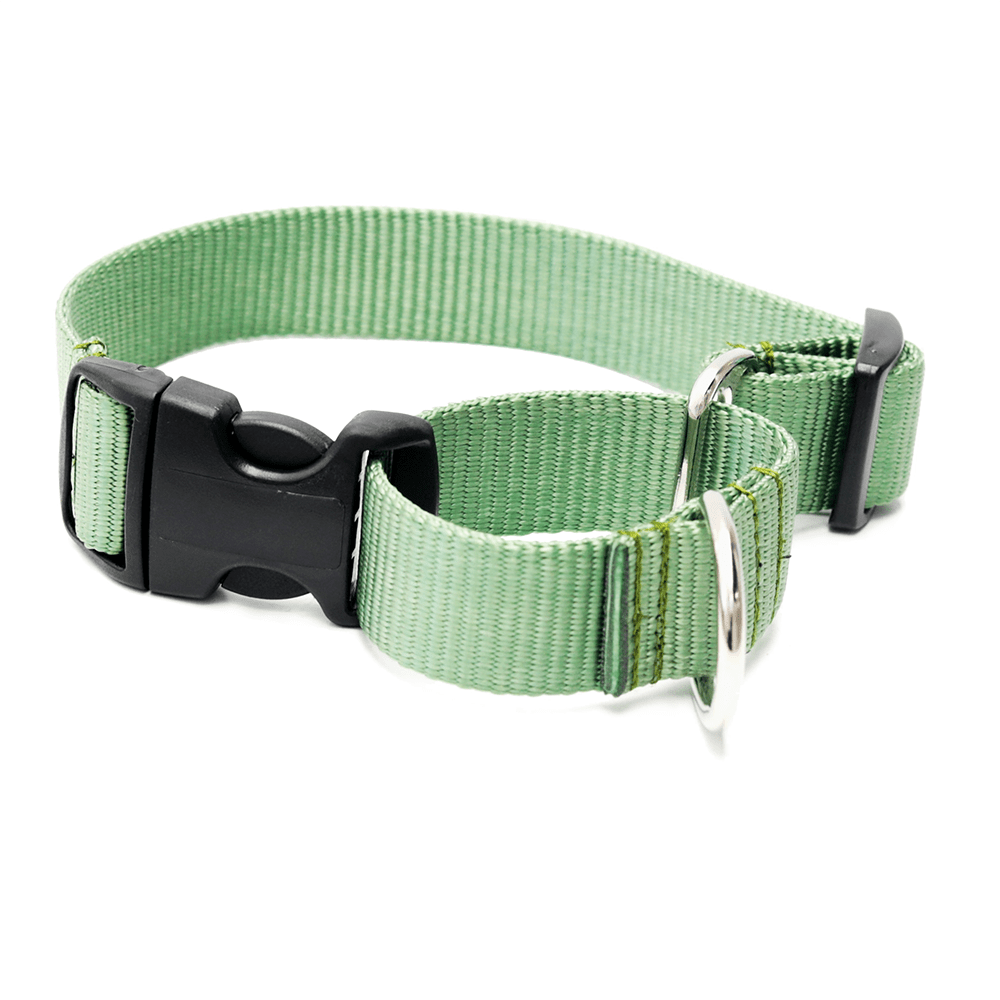Nylon Martingale Loop Dog Collars Quick Release Buckle - THE BOXER