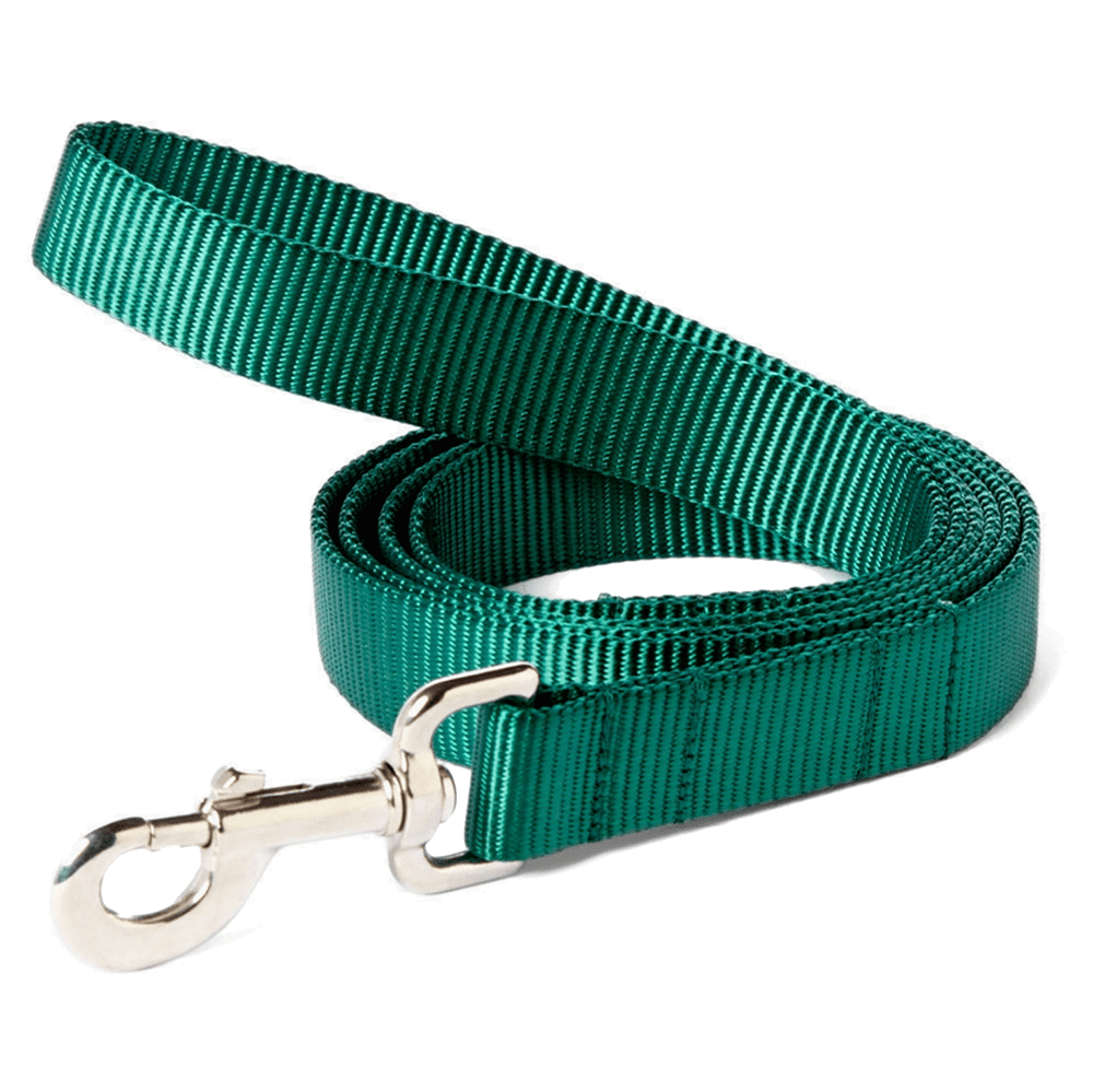 Nylon Webbing Dog Leash - THE BOXER