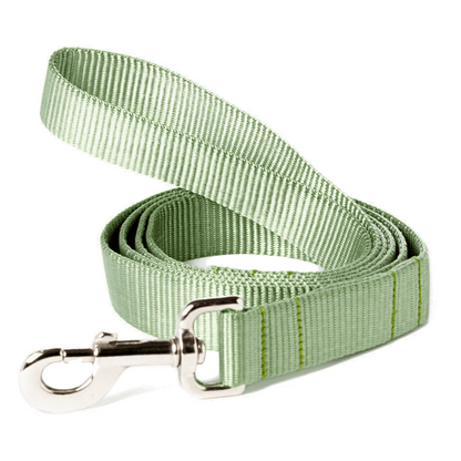 Nylon Webbing Dog Leash - THE BOXER