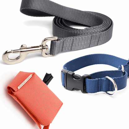 Nylon Webbing Dog Leash - THE BOXER