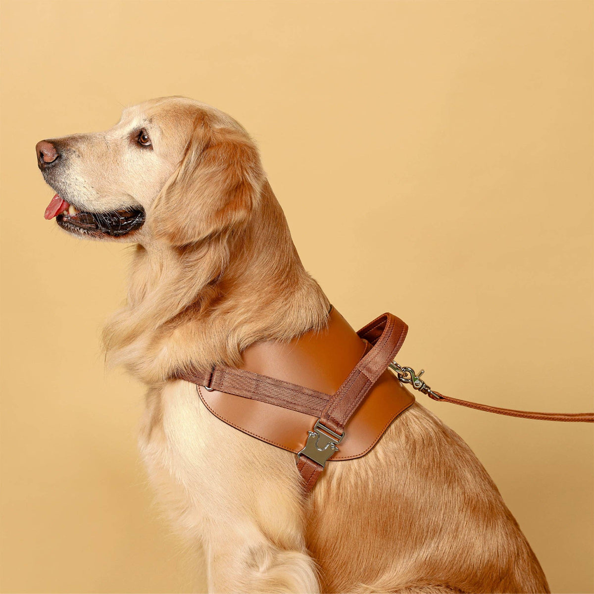 Saddle Harness - THE BOXER